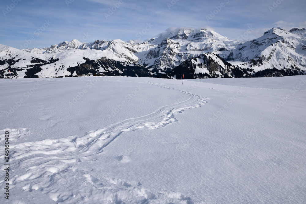 Traces dans la neige dans l'Oberland bernois, Suisse