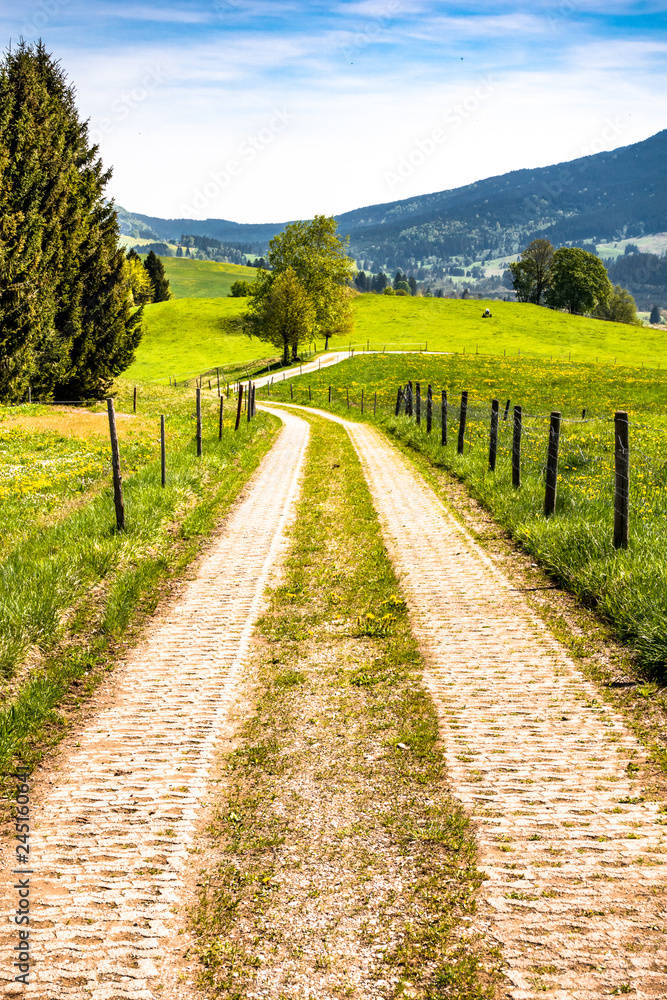 Obraz premium old road