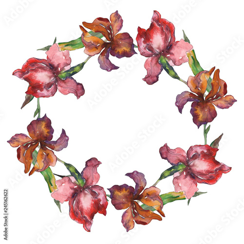Purplr ahd red irises botanical flower. Watercolor background illustration set. Frame border ornament square.