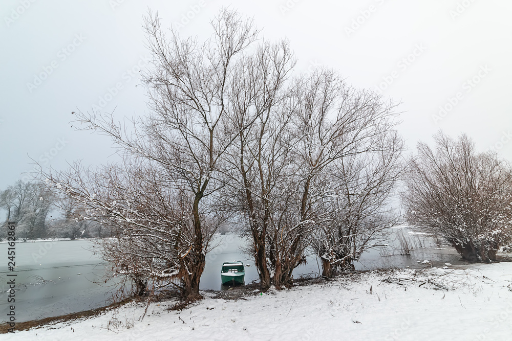 Naklejka premium Danube island (Šodroš) near Novi Sad, Serbia. Colorful landscape with snowy trees, beautiful frozen river.