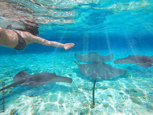 Girl snorkeling scuba with sharks and manta ray over reef in underwater Paradise. Turquoise sea in tropical wildlife in Bora Bora and Maldives 