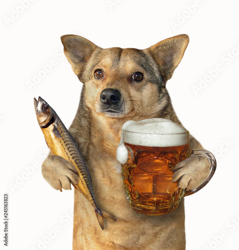 The mutt dog is holding a glass of beer and smoked mackerel. Isolated. White background.