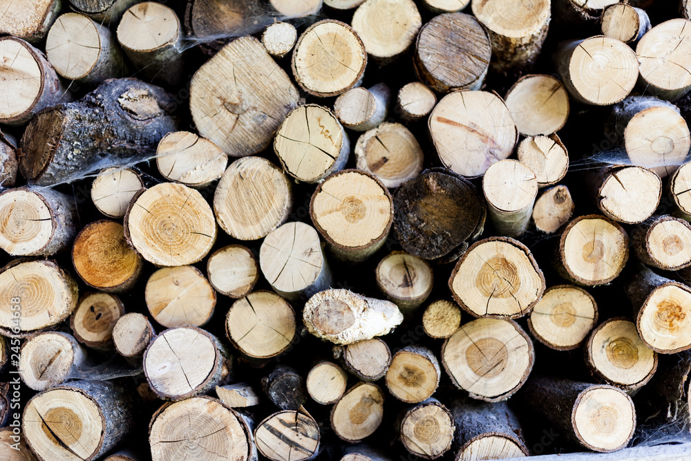 ends of logs wooden background. toning. wood in the stack. - Image ends of logs wooden background. toning. wood in the stack. - Image