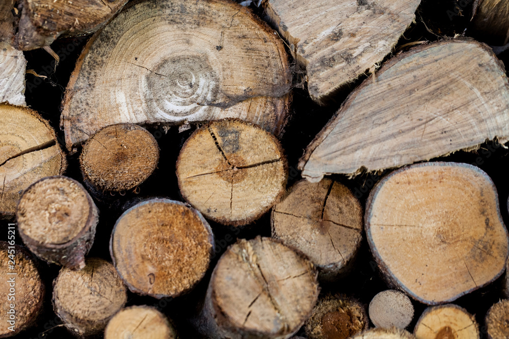 Naklejka premium Sawed tree trunks and branches in different sizes, piled up in blue container Wood storage industry. Background of dry chopped firewood logs stacked up on top of each other in a pile.