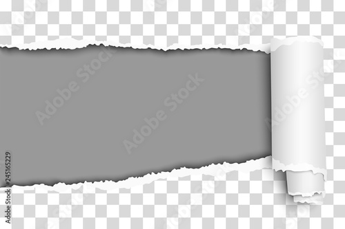 Oblong snatched hole in transparent sheet of paper from left side to right side with paper curl and gray resulting background. Vector paper template design.