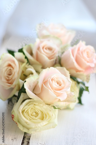 A bouquet of delicate pale pink and  cream roses   shallow depth of field 