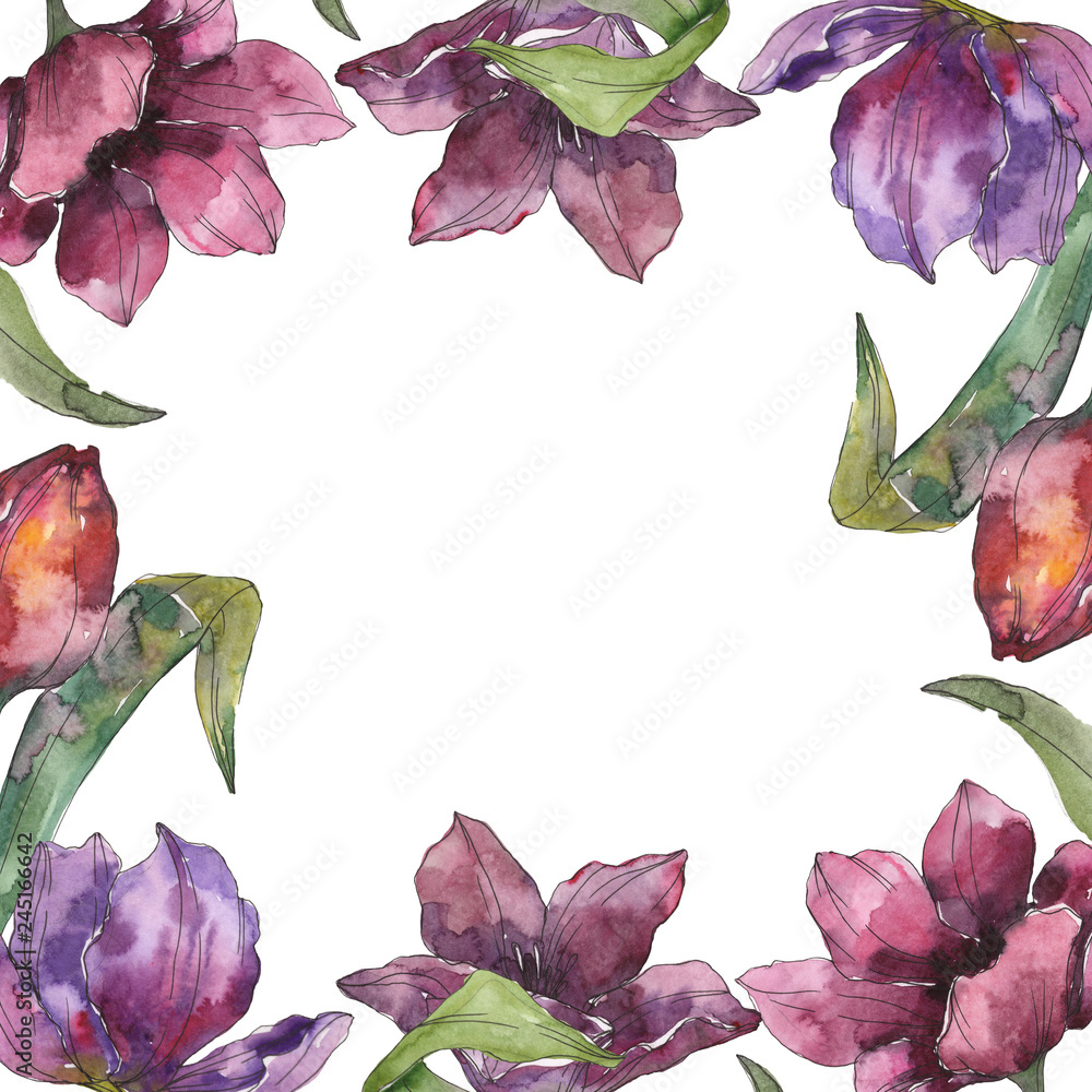 Fototapeta premium Purple tulip floral botanical flowers. Watercolor background illustration set. Frame border ornament square.