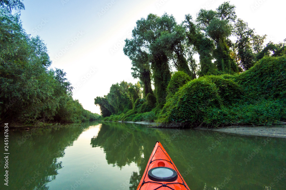 Fototapeta premium Kayaking near overgrown shore of green thick thickets of trees and wild grapes on the banks of river at summer. Bow of red kayak on Danube river.