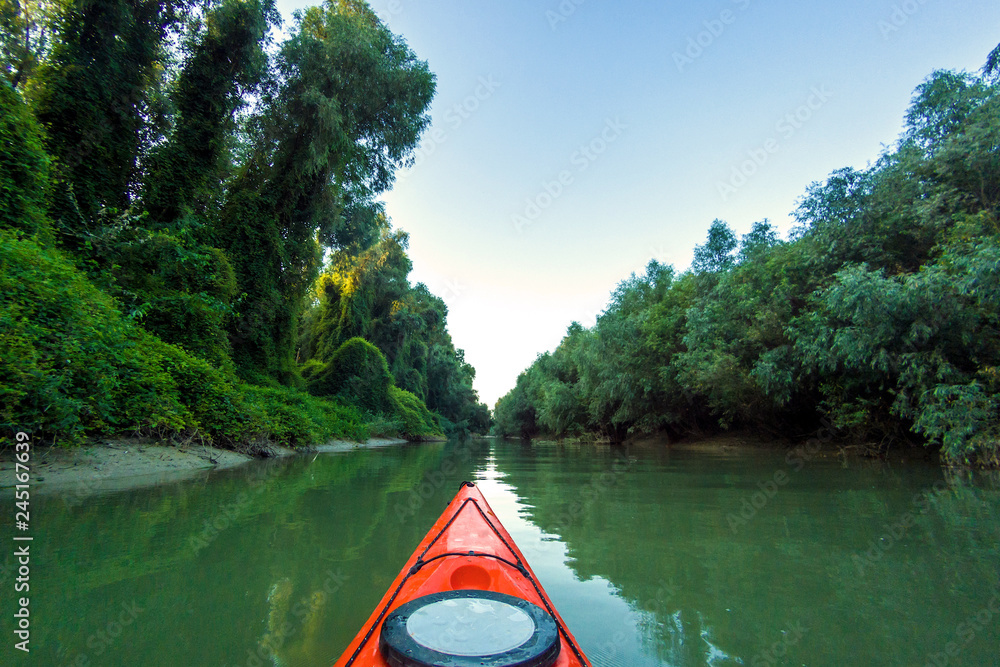 Fototapeta premium Kayaking near overgrown shore of green thick thickets of trees and wild grapes on the banks of river at summer. Bow of red kayak on Danube river.