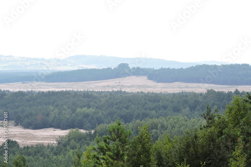 A view of a forest and the Błędów Desert