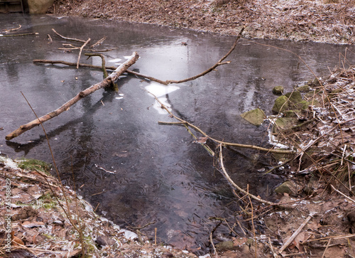 Winterlandschaft im Bruch in Bünde, Deutschland. Auf einem zugefrorenen Bach liegen Äste und Zweige.