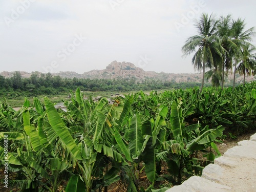 Landschaft und Tiere in der Nähe von Hampi / Weltkulturerbe in Karnataka, Südindien photo