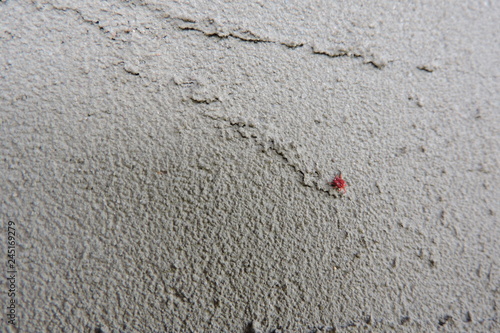 A texture of plaster