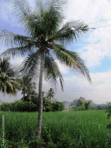 Landschaft und Tiere in der Nähe von Hampi / Weltkulturerbe in Karnataka, Südindien photo