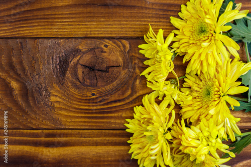 Yellow chrysanthemums on wooden background. Top view, copy space