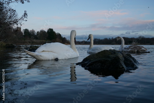 duddingstone loch edinburgh photo