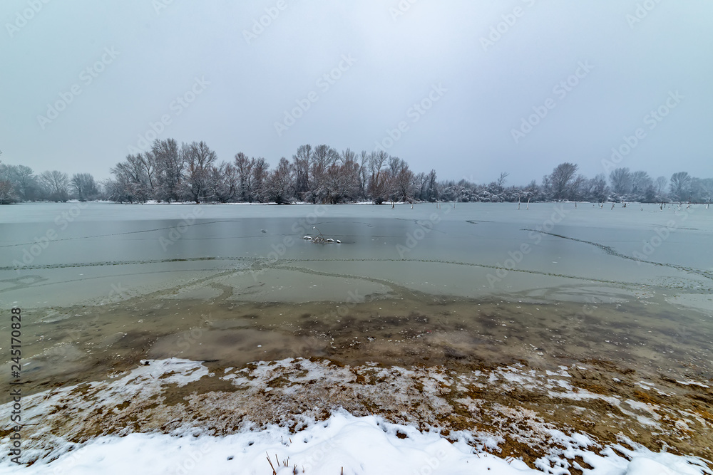 Naklejka premium Danube island (Šodroš) near Novi Sad, Serbia. Colorful landscape with snowy trees, beautiful frozen river.