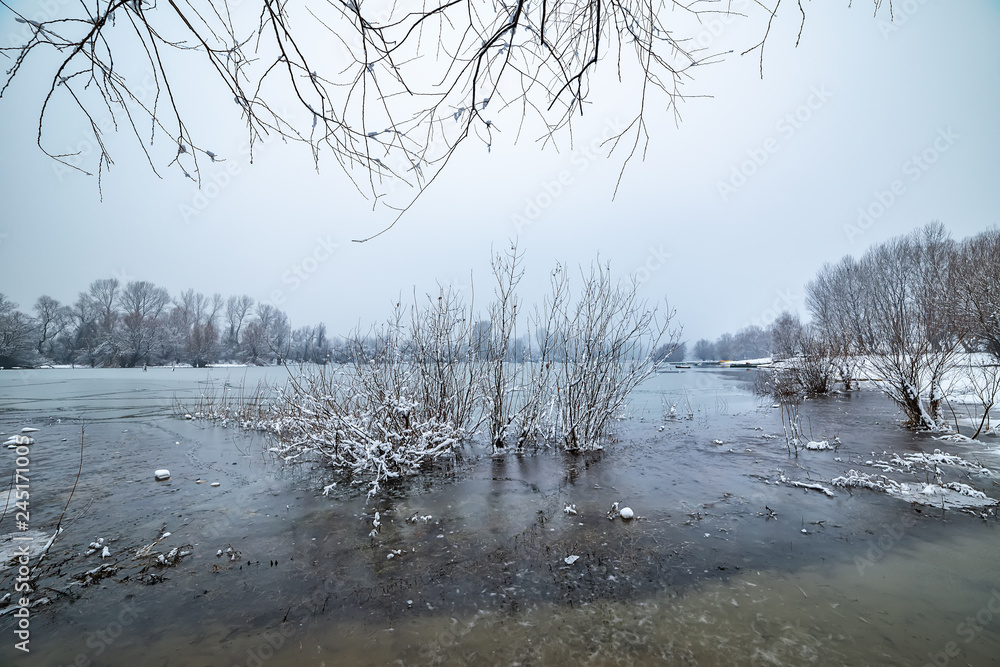 Naklejka premium Danube island (Šodroš) near Novi Sad, Serbia. Colorful landscape with snowy trees, beautiful frozen river.