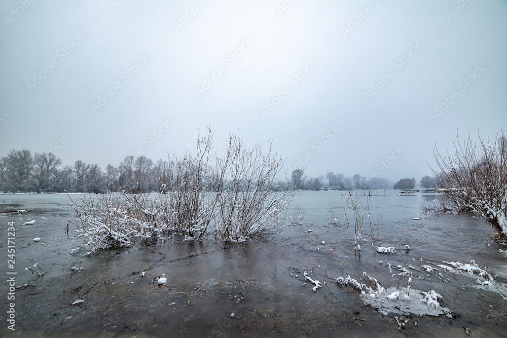Naklejka premium Danube island (Šodroš) near Novi Sad, Serbia. Colorful landscape with snowy trees, beautiful frozen river.