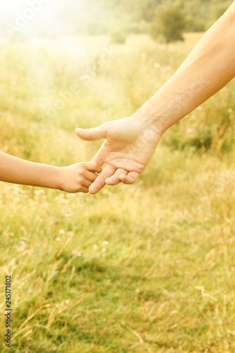 hands of parent and child in nature