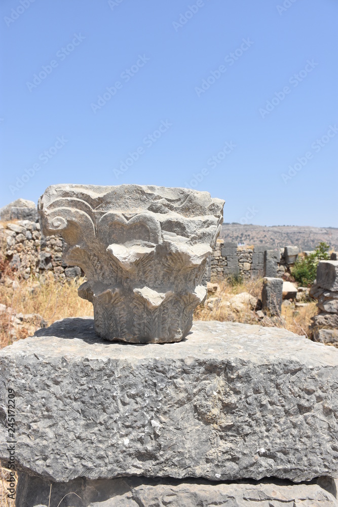 volubilis