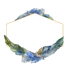 Bird feather from wing isolated. Watercolor background illustration set. Frame border ornament square.