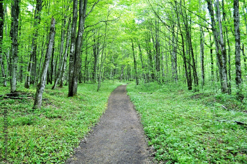 Obraz premium Chapel Trail 3