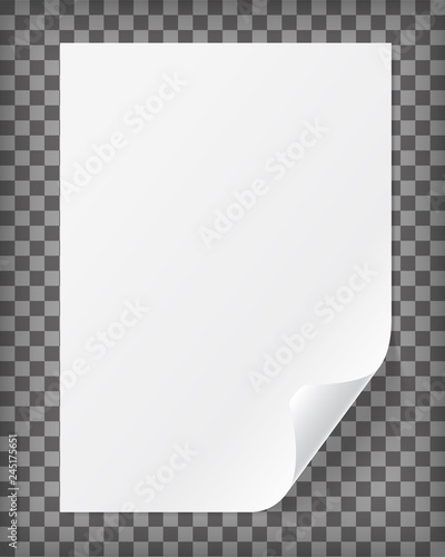 Blank A4 paper sheet with curled corner