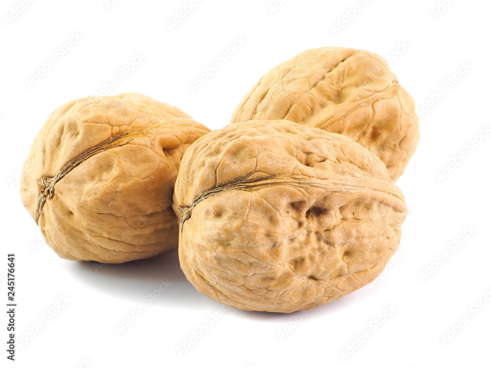 Noci Noci