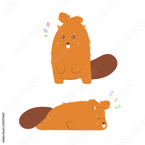Cute character beaver in two versions: stands and sleeps