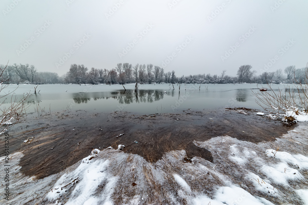 Naklejka premium Danube island (Šodroš) near Novi Sad, Serbia. Colorful landscape with snowy trees, beautiful frozen river.