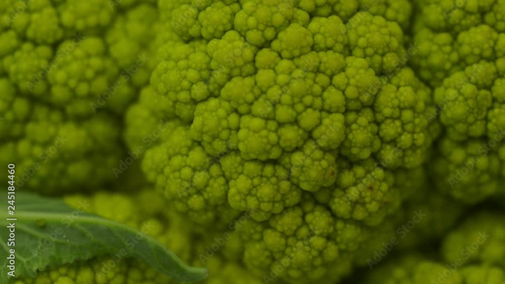 Cauliflower close up shot and texture detail. Selective focus Cauliflower close up shot and texture detail. Selective focus