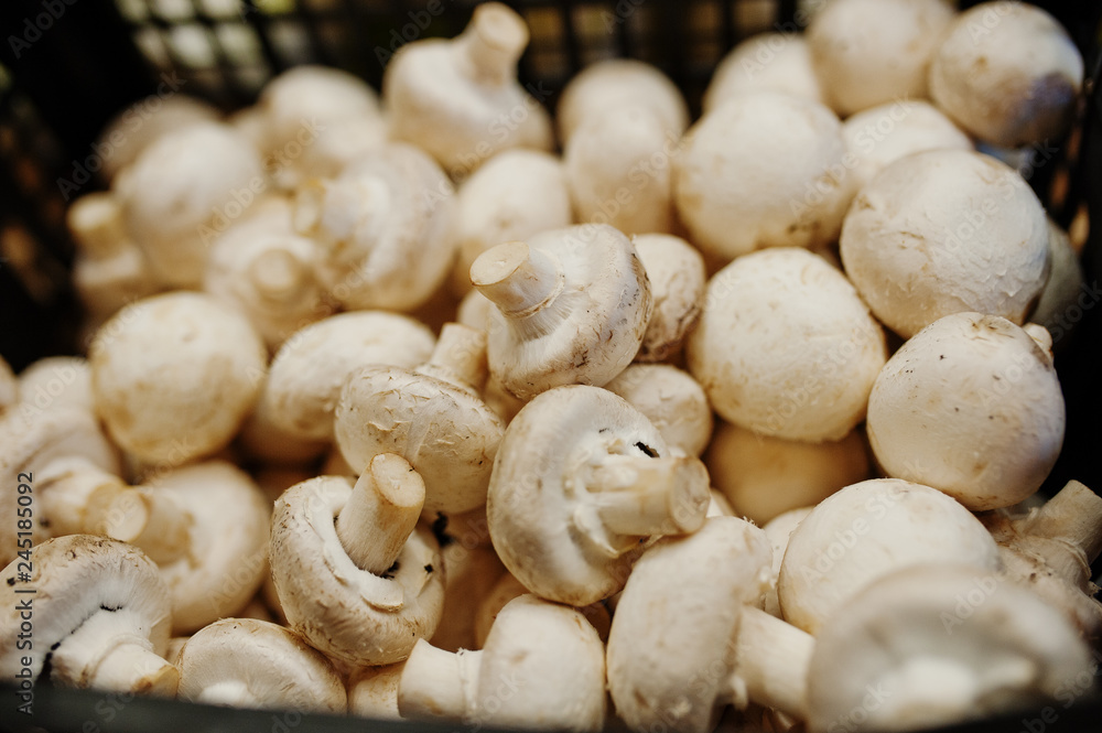 Champignon mushrooms on the shelf of a supermarket or grocery store. Champignon mushrooms on the shelf of a supermarket or grocery store.