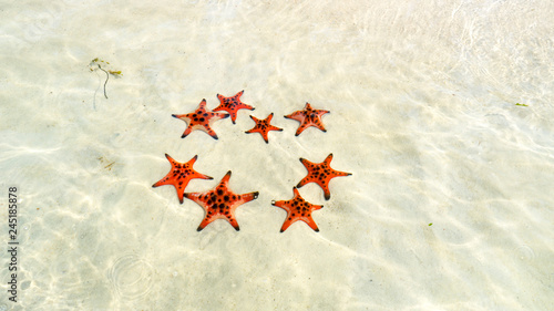  Starfishes on the Phu quoc island , beautiful red starfish in crystal clear sea, travel concept on tropical starfish beach