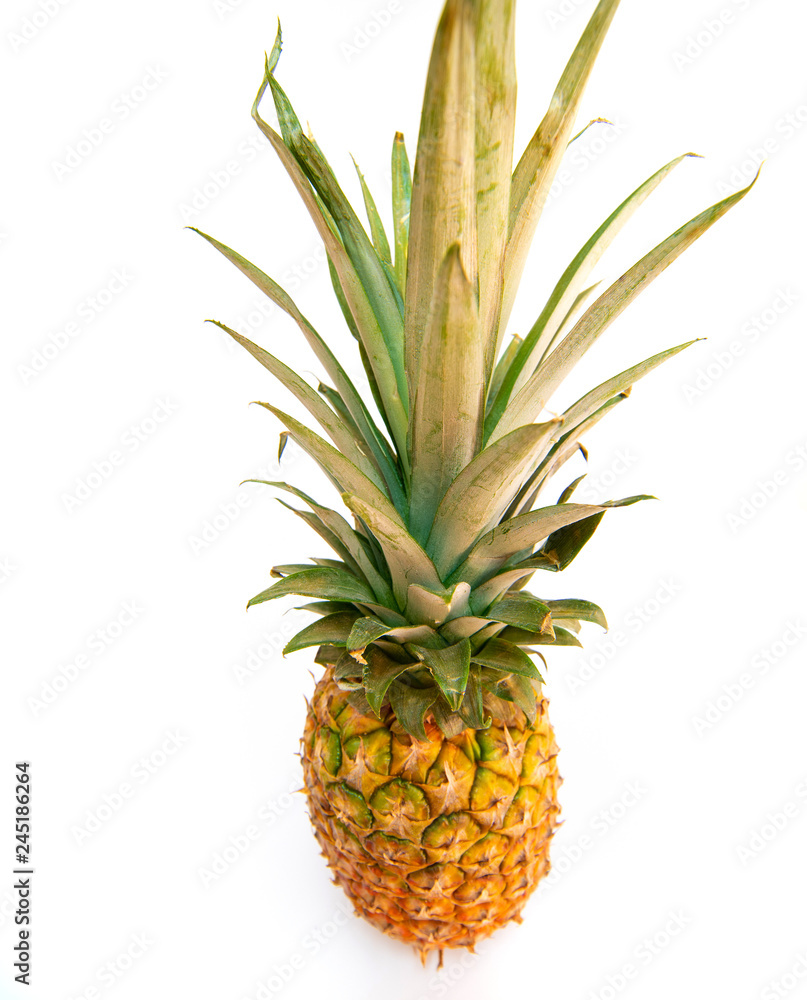 ananas Isolated on white background ananas Isolated on white background