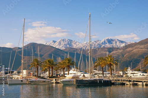 View of yacht marina of Porto Montenegro on sunny winter day. Montenegro, Adriatic Sea, Bay of Kotor, Tivat city