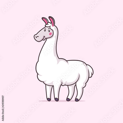 Cute white llama vector cartoon illustration