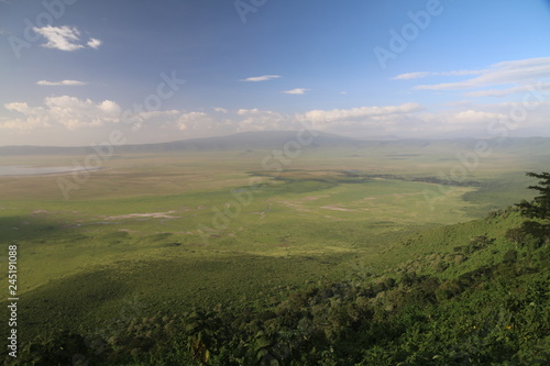 wielka równina afrykańska serengeti w bujnej zieleni po porze deszczowej