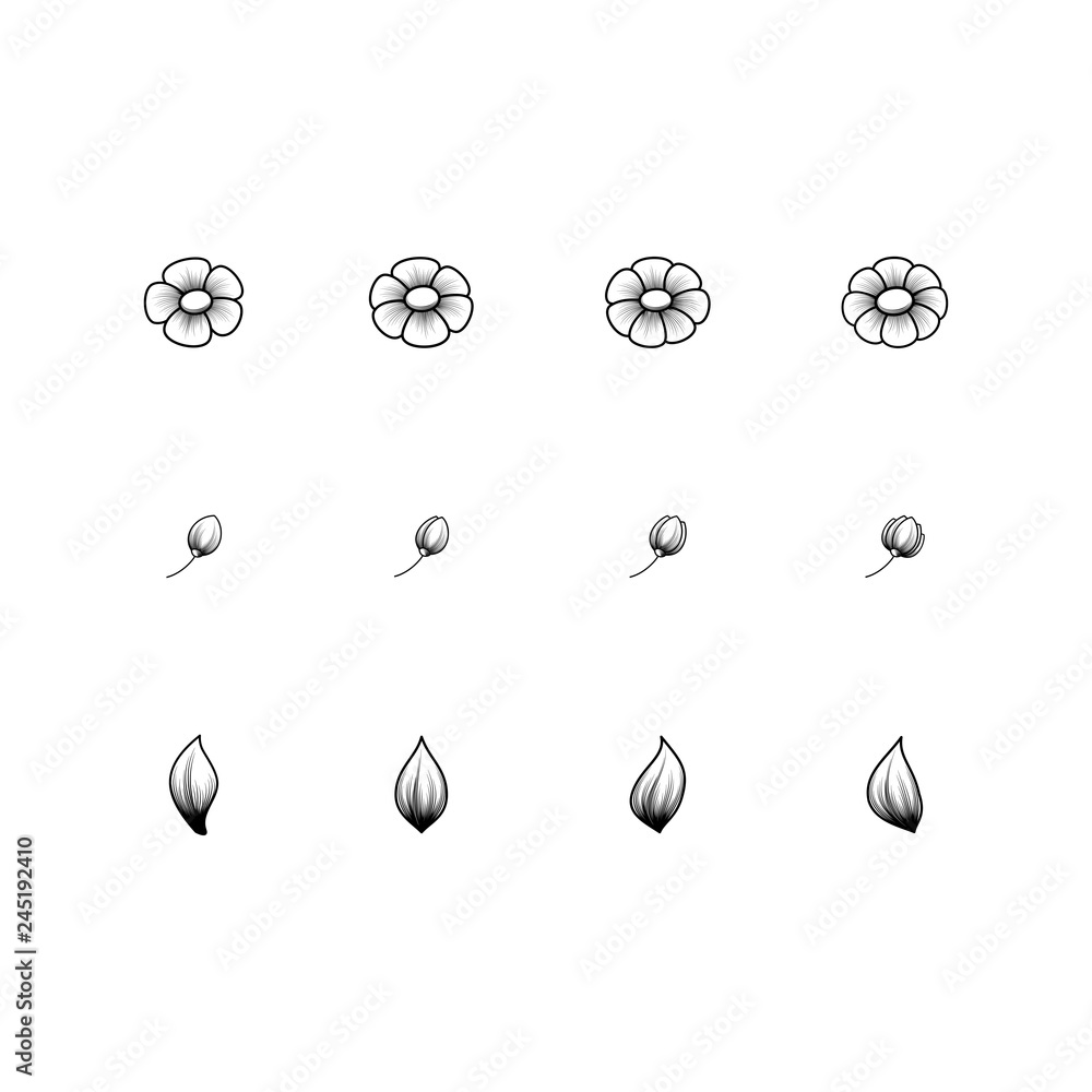 Daisy ornament background Daisy ornament background