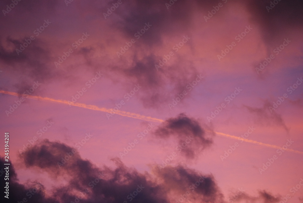 Purple Sky Portrait