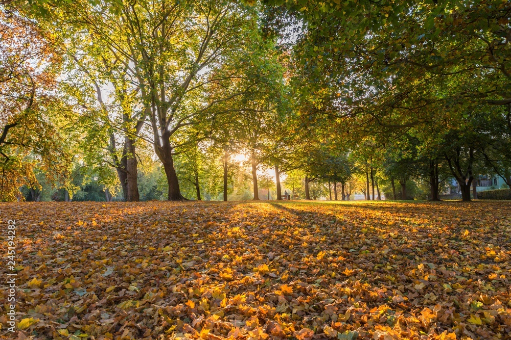 Letzte Sonnenstrahlen im Herbst in Regensburg, Deutschland Letzte Sonnenstrahlen im Herbst in Regensburg, Deutschland