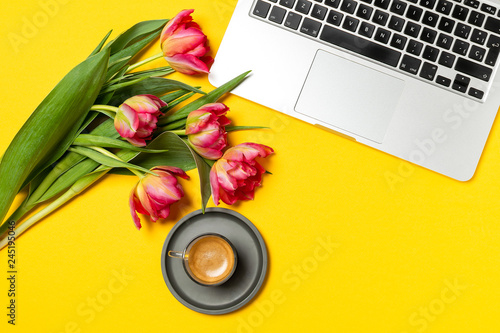 Wallpaper Mural Valentines Womens mothers day concept 8 March Spring Torontodigital.ca