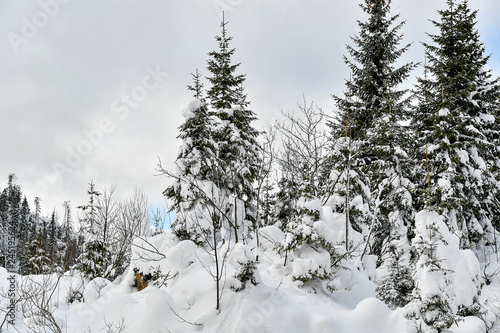 Mostviertel in winter