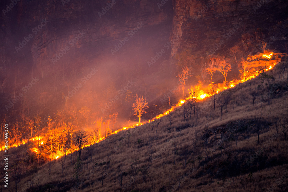 Forest fire on mountains at night.