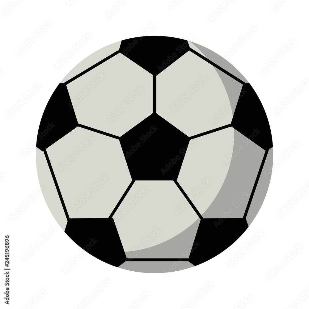 soccer sport ball isolated soccer sport ball isolated