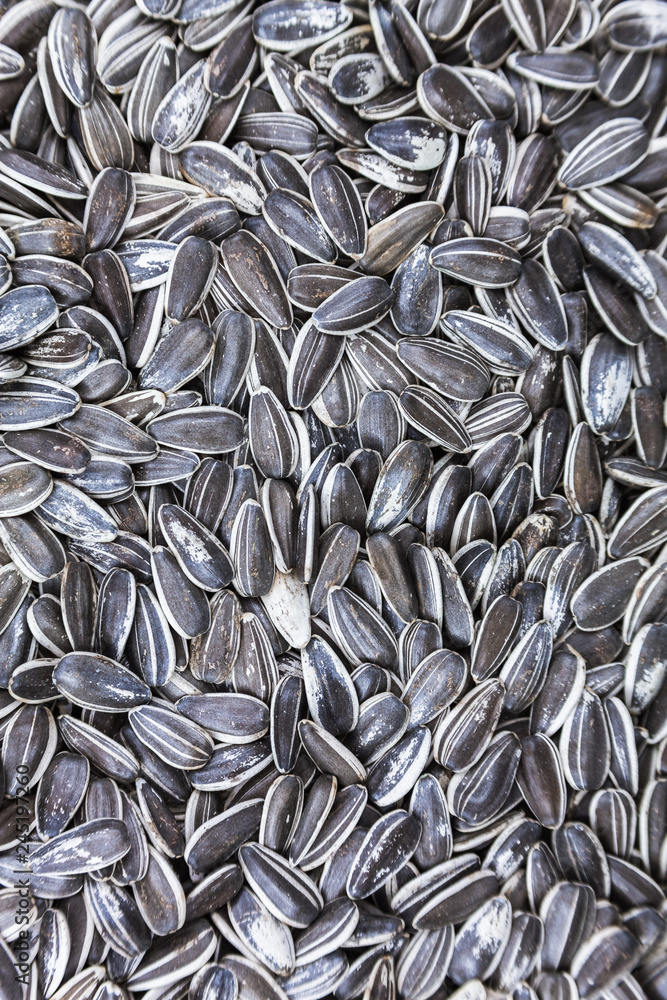 sunflower seeds background sunflower seeds background