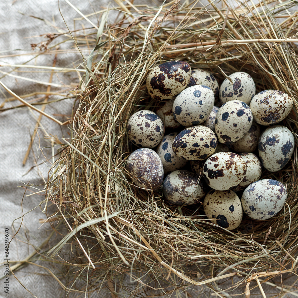 Obraz premium holiday of light Easter