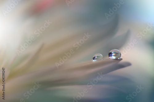 Fototapeta Naklejka Na Ścianę i Meble -  Beautiful spring nature blossom web banner or header. Blurred space for your text.Colorful Artistic Background.Conceptual abstract image.Beautiful nature with white flowers.Floral Fantasy Design.