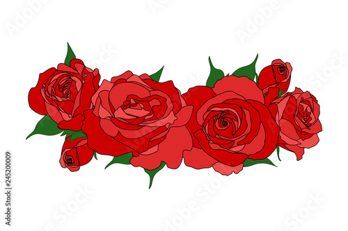 Vector composition of roses. Red flowers isolated on white. T-shirt print design