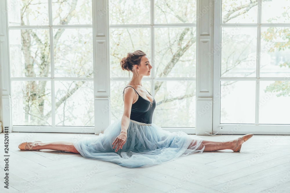 Young classical ballet dancer woman in dance class. Beautiful graceful ballerina practice ballet positions in blue tutu skirt near large window in white light hall Young classical ballet dancer woman in dance class. Beautiful graceful ballerina practice ballet positions in blue tutu skirt near large window in white light hall